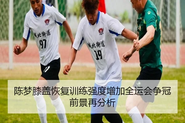陈梦膝盖恢复训练强度增加全运会争冠前景再分析（ob.com）