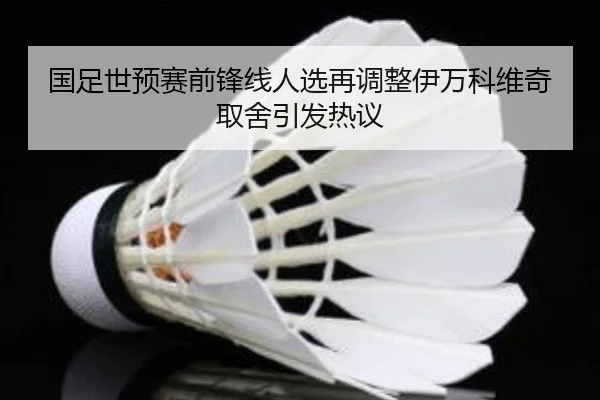 国足世预赛前锋线人选再调整伊万科维奇取舍引发热议（ob.com）